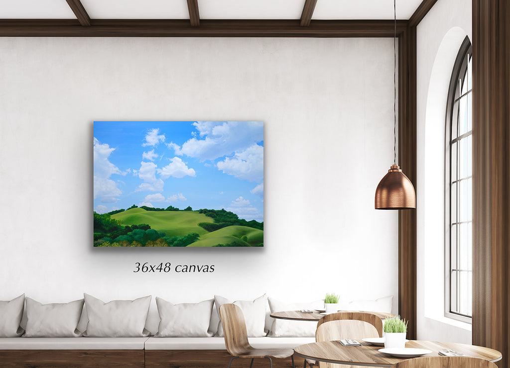 Cloudwatching From A Blanket (SOLD) image 2