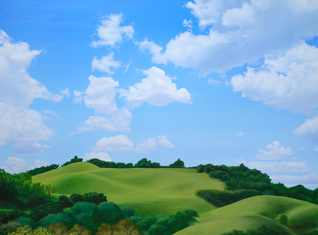 Cloudwatching From A Blanket (SOLD) image 1